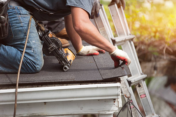 Best New Roof Installation  in Bear Creek, AK