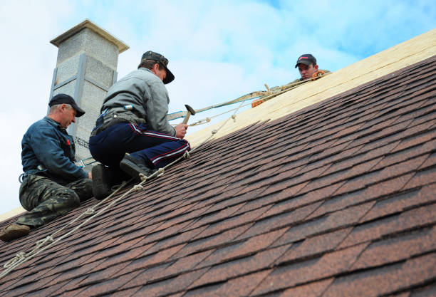 Best Roof Restoration Services  in Bear Creek, AK